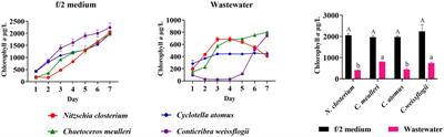 Targeted cultivation of diatoms in mariculture wastewater by nutrient regulation and UV-C irradiation